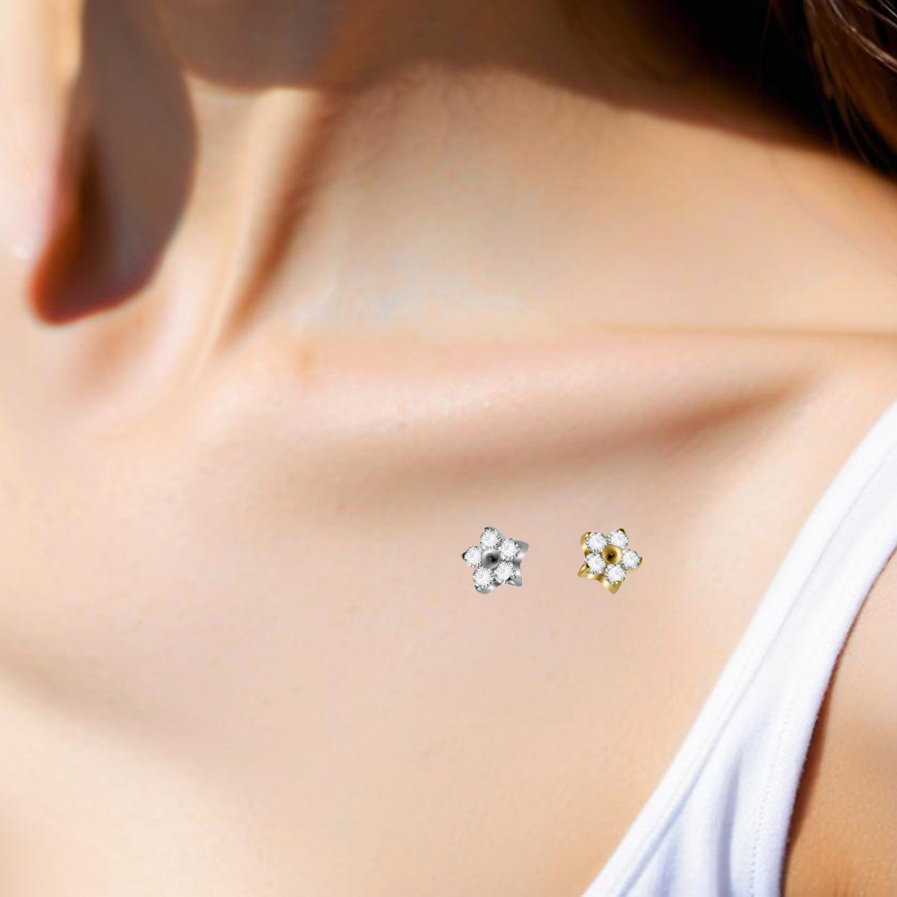 1PC G23 インプラントチタンダーマルアンカー インター - Dermal Anchor Top のレビューと価格